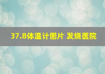 37.8体温计图片 发烧医院